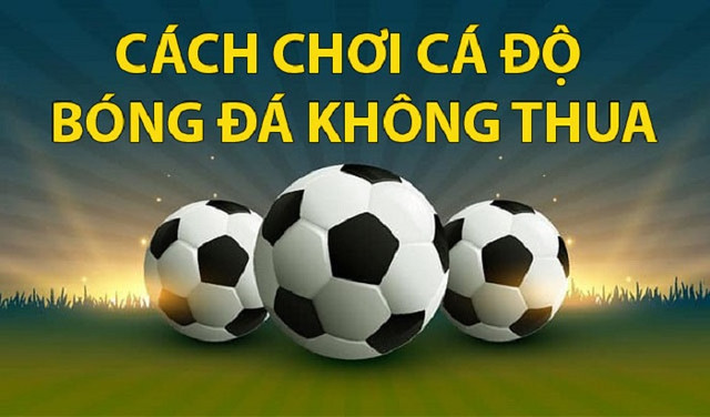 cách cá độ bóng đá không thua