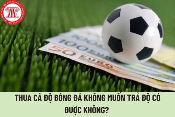 Hướng dẫn cho bạn cách cá độ bóng đá không thua